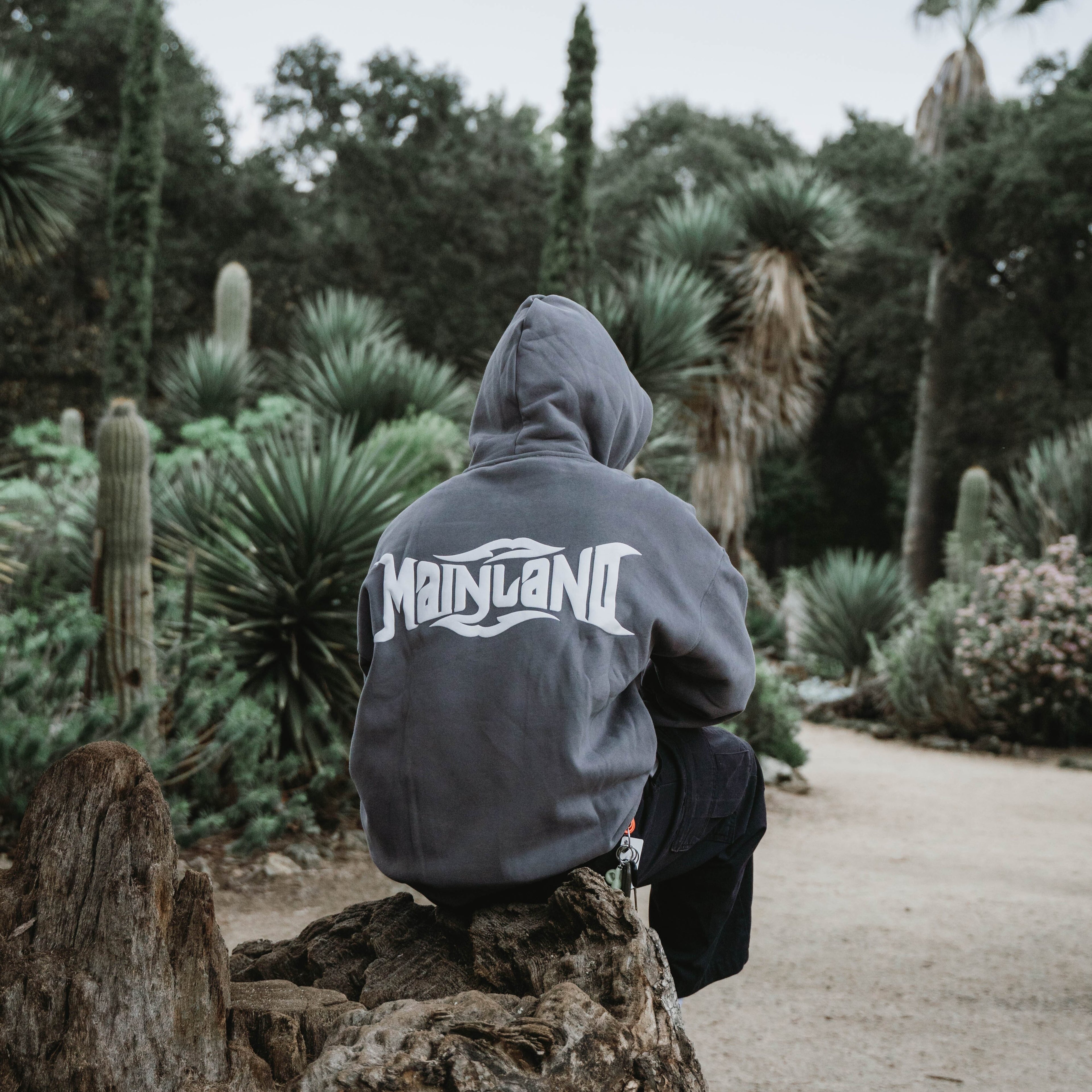 Light Grey Hoodie